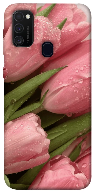 Чохол на Samsung Galaxy M30s / M21 Beauty фото 1 з 1