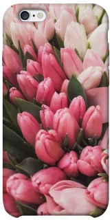 Чохол на Apple iPhone 6/6s (4.7") Flowers v3 фото 1 з 1