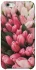 Чохол на Apple iPhone 6/6s (4.7") Flowers v3 фото 1 з 1