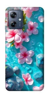 Чохол на Motorola Moto G54 Power Flowers v19 фото 1 з 1