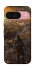 Чехол на Google Pixel 9 Сталкер v10 фото 1 из 1