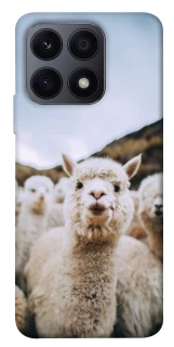 Чохол на Huawei Honor X8a Лама фото 1 з 1