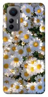 Чохол на Xiaomi 12 Lite Поле ромашок фото 1 Чохол на Xiaomi 12 Lite Поле ромашок фото 1 з 1