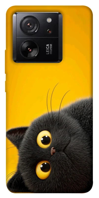 Чохол на Xiaomi 13T Pro This is Cat фото 1 з 1