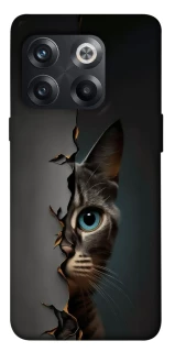 Чехол на OnePlus 10T Кот-подглядыватель v2 фото 1 из 1