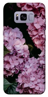 Чохол на Samsung G955 Galaxy S8 Plus Рожеві гартензії фото 1 з 1