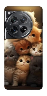 Чехол на OnePlus 12 Чехол Kittie Love v2 фото 1 из 1