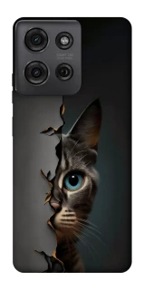Чехол на Motorola Moto G75 Кот-подглядыватель v2 фото 1 из 1