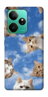 Чохол на Realme GT 7 Сats фото 1 з 1