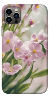 Чехол на Apple iPhone 12 Pro (6.1") Spring фото 1 из 1