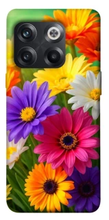 Чохол на OnePlus 10T Flowers v32 фото 1 з 1