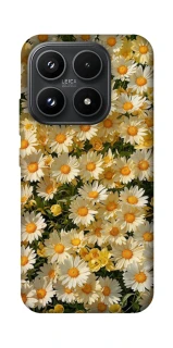 Чехол на Xiaomi 17 Camomile фото 1 из 1