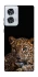 Чохол на Motorola Edge 50 Fusion Leopard v4 фото 1 з 1