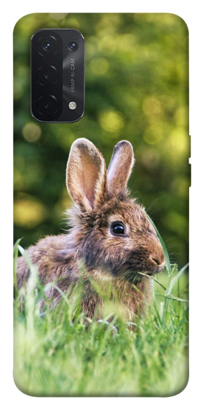 Чохол на Oppo A54 5G / A74 5G Кролики фото 1 з 1
