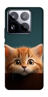 Чохол на Xiaomi 15 Pro Чохол Кошеня фото 1 з 1