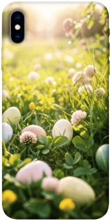 Чехол на Apple iPhone X (5.8") Hello Spring фото 1 из 1