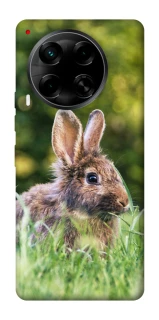 Чехол на TECNO Camon 30 (CL6) Кролики фото 1 из 1