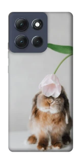 Чохол на Motorola Moto G86 Power Bunny фото 1 з 1