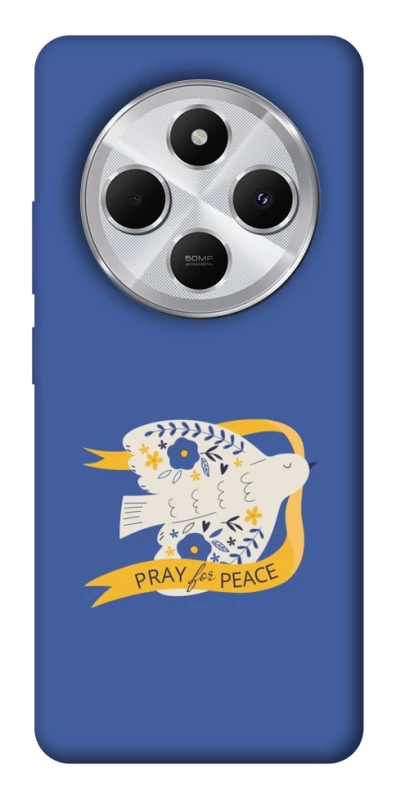 Чехол на Xiaomi Redmi 14C / Poco C75 Ласточка фото 1 из 1