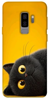 Чохол на Samsung Galaxy S9+ This is Cat фото 1 з 1