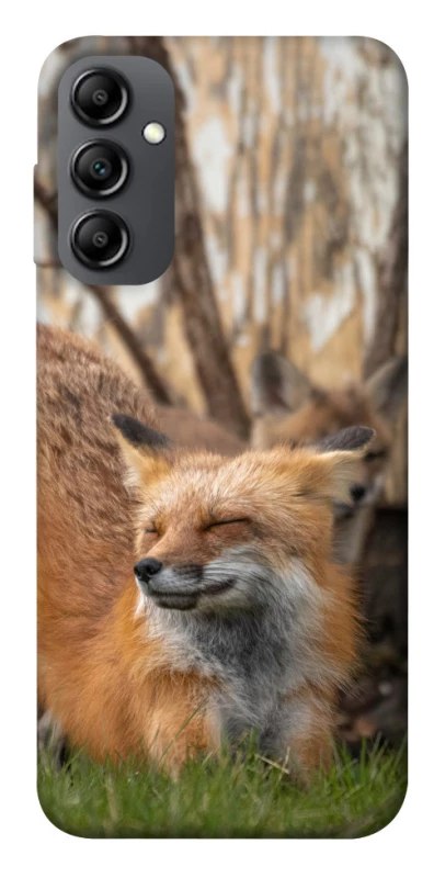 Чохол на Samsung Galaxy A14 4G/5G Лисиця фото 1 з 1