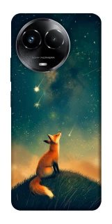 Чохол на Realme C67 4G Sky fox фото 1 з 1