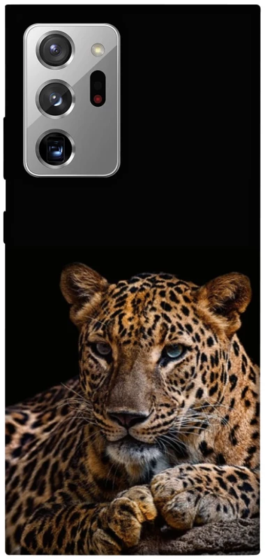 Чехол на Samsung Galaxy Note 20 Ultra Leopard v4 фото 1 из 1