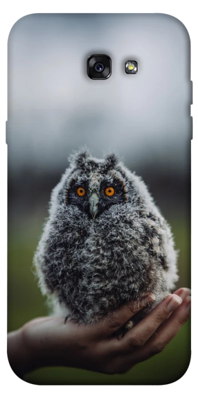 Чехол на Samsung A720 Galaxy A7 (2017) Совёнок фото 1 из 1