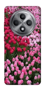 Чехол на Oppo Reno 12 F 4G Flowers v9 фото 1 из 1
