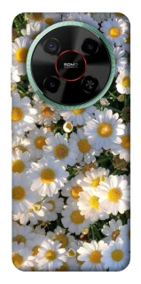 Чохол на ZTE Nubia V70 Max Поле ромашок фото 1 Чохол на ZTE Nubia V70 Max Поле ромашок фото 1 з 1