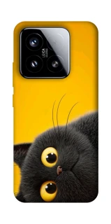 Чохол на Xiaomi 15 This is Cat фото 1 з 1