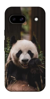 Чехол на Google Pixel 8a Панда фото 1 из 1