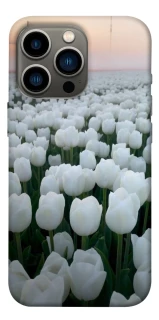 Чохол на Apple iPhone 13 Pro (6.1") Flowers v1 фото 1 з 1