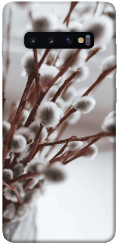 Чехол на Samsung Galaxy S10+ Magic фото 1 из 1