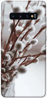 Чехол на Samsung Galaxy S10+ Magic фото 1 из 1