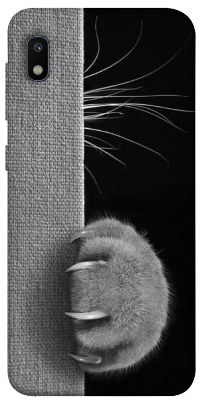 Чехол на Samsung Galaxy A10 (A105F) Spy Cat фото 1 из 1