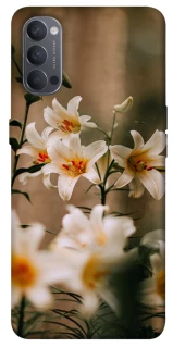 Чохол на Oppo Reno 4 Лілії фото 1 з 1