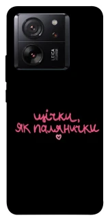 Чехол на Xiaomi 13T Pro Щічки, як палянички фото 1 из 1