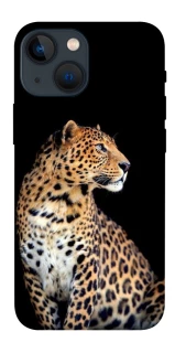 Чехол на Apple iPhone 13 mini (5.4") Leopard v2 фото 1 из 1