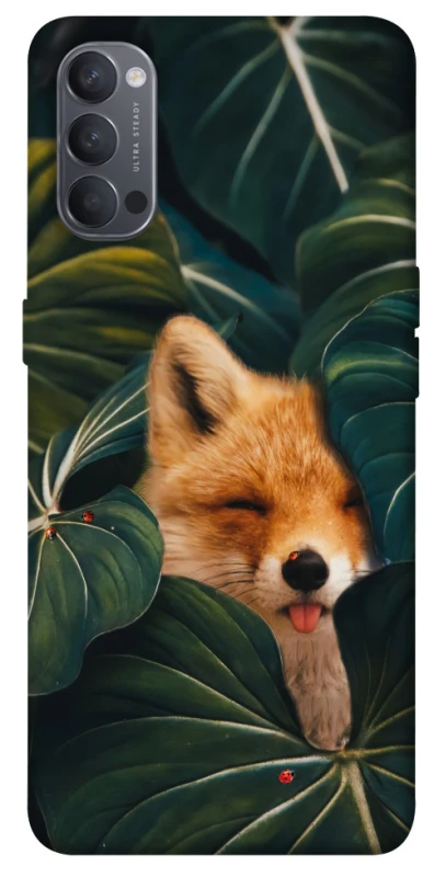 Чохол на Oppo Reno 4 Fox фото 1 з 1