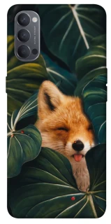 Чохол на Oppo Reno 4 Fox фото 1 з 1