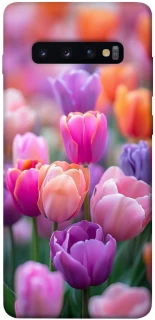 Чохол на Samsung Galaxy S10+ Тюльпанове поле фото 1 з 1