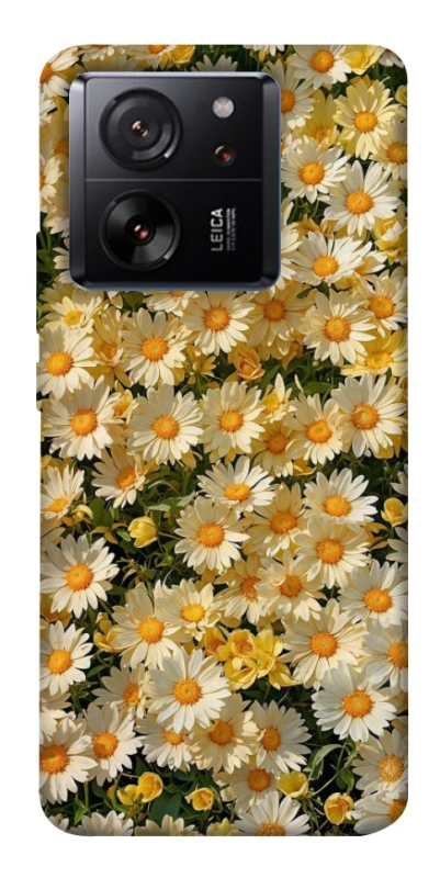 Чохол на Xiaomi 13T Camomile фото 1 з 1