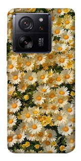 Чехол на Xiaomi 13T Camomile фото 1 из 1