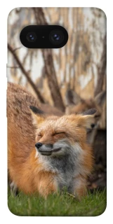 Чохол на Google Pixel 8 Лисиця фото 1 з 1