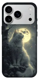 Чехол на Apple iPhone 18 Pro Max Кот под луной фото 1 из 2