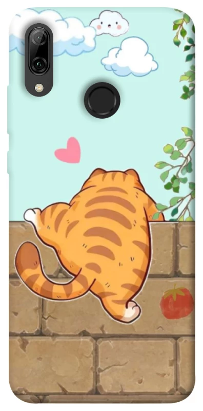 Чохол на Huawei P Smart (2019) Cat the meow фото 1 з 1