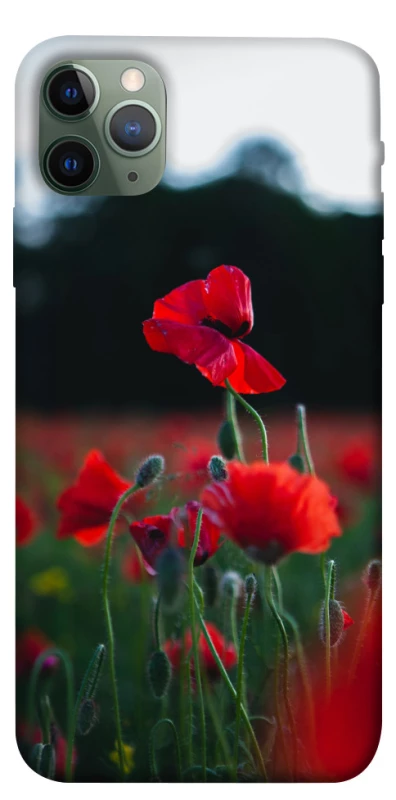 Чехол на Apple iPhone 11 Pro Max (6.5") Мак фото 1 из 1