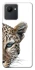 Чохол на Realme C30 Leopard Art v2 фото 1 з 1