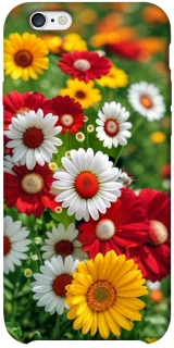 Чохол на Apple iPhone 6/6s plus (5.5") Flowers v11 фото 1 з 1